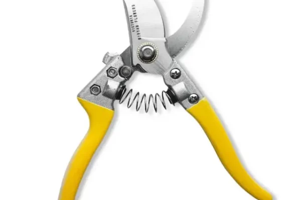 Секатор или ножницы: что лучше для флористики?